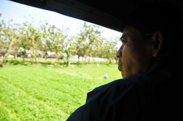 Commercial logging and firewood extraction for domestic use have accelerated Myanmar's deforestation rates in the last three decades. Credit: Amantha Perera/IPS